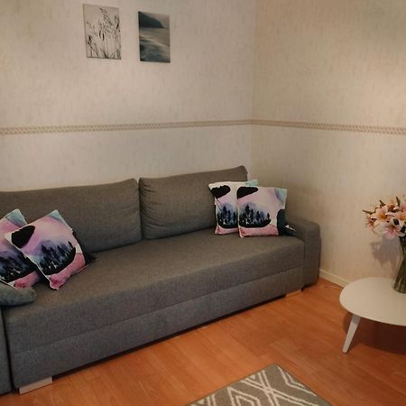 Spacious Apartment With Balcony And Free Wifi Rovaniemi Exterior photo