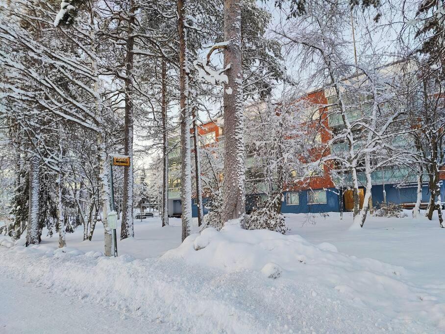 Spacious Apartment With Balcony And Free Wifi Rovaniemi Exterior photo